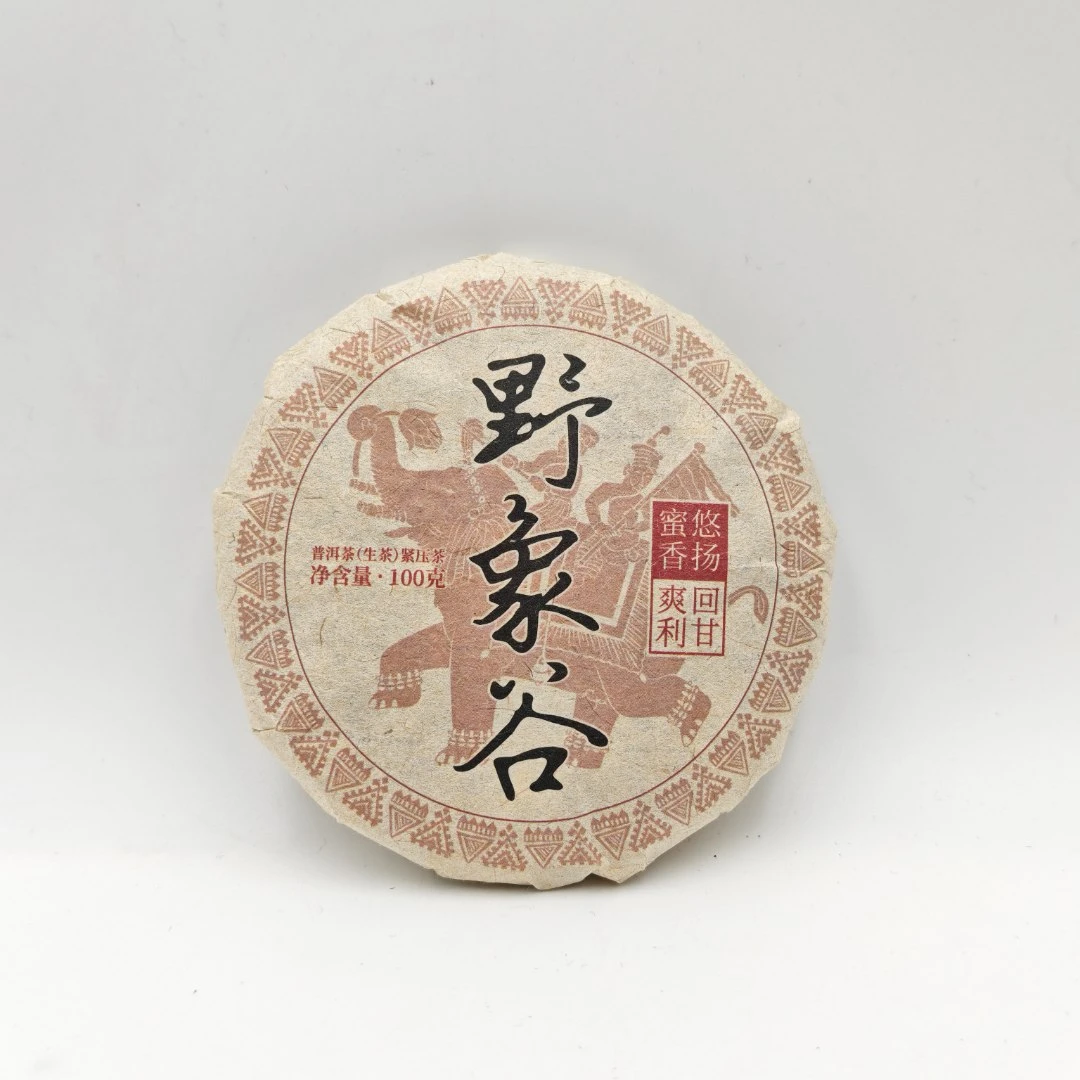 2021年野象谷生茶100g/饼