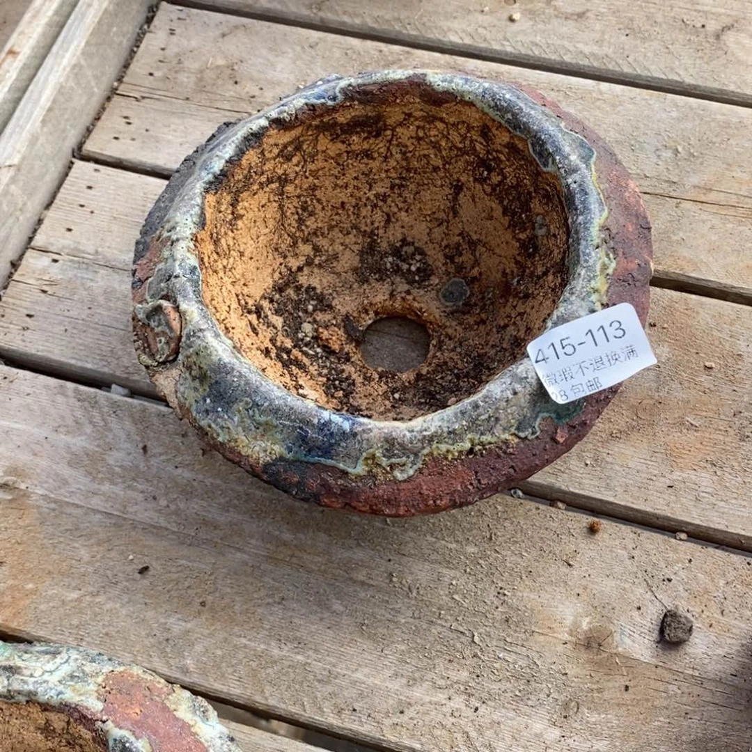 初**113号多肉盆一个呀