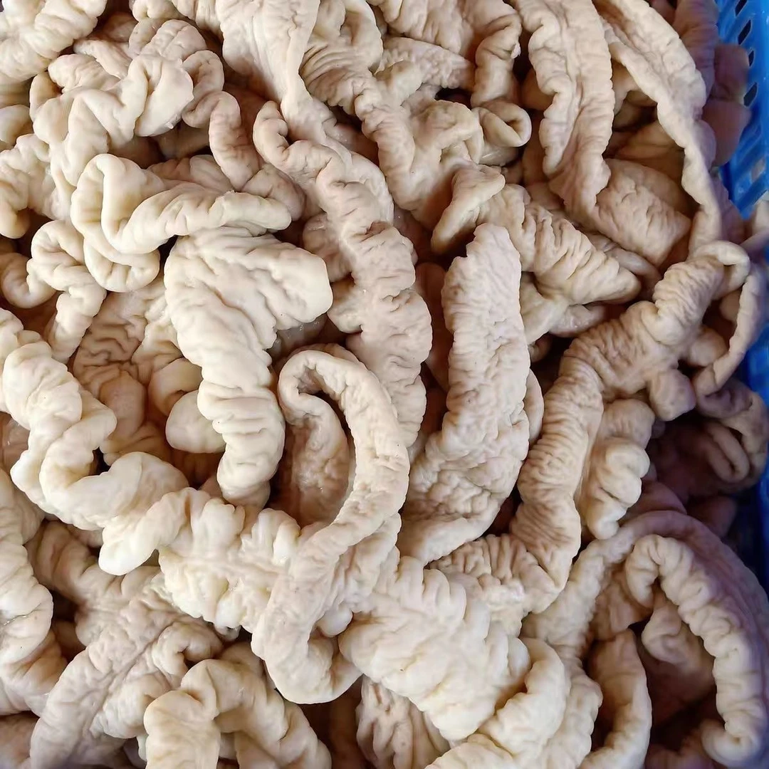 预煮猪大肠去油80,新鲜干净无异味