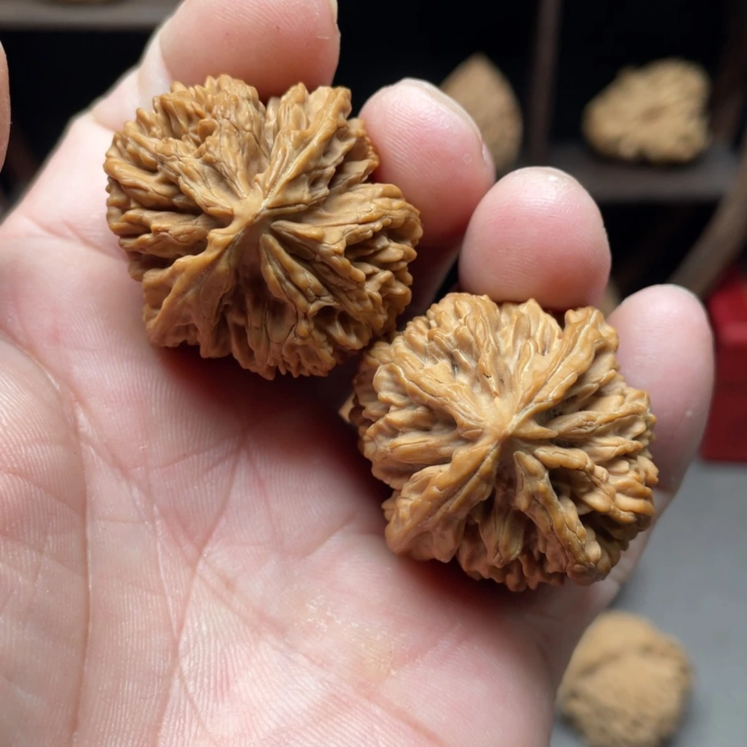 桃核把件36全品状元冠