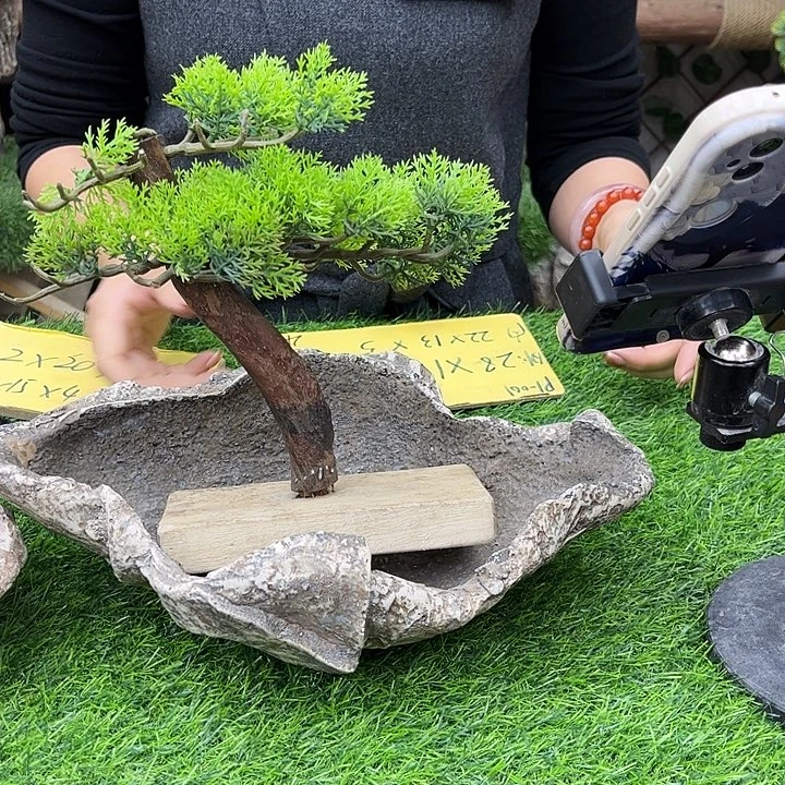 花盆异形花盆鱼缸p1-005