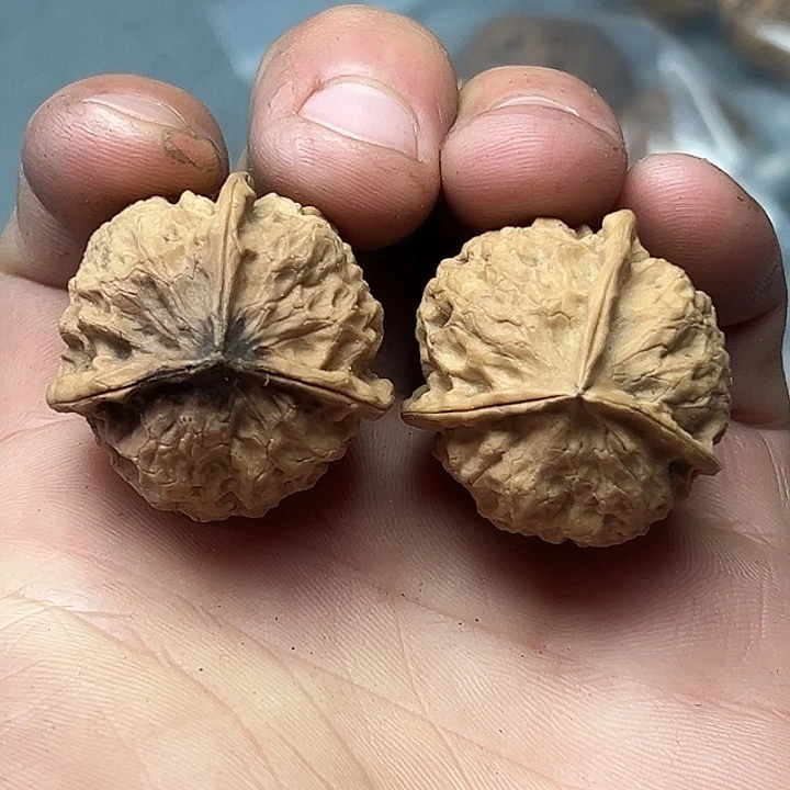 核桃58号揣兜三楞31尺
