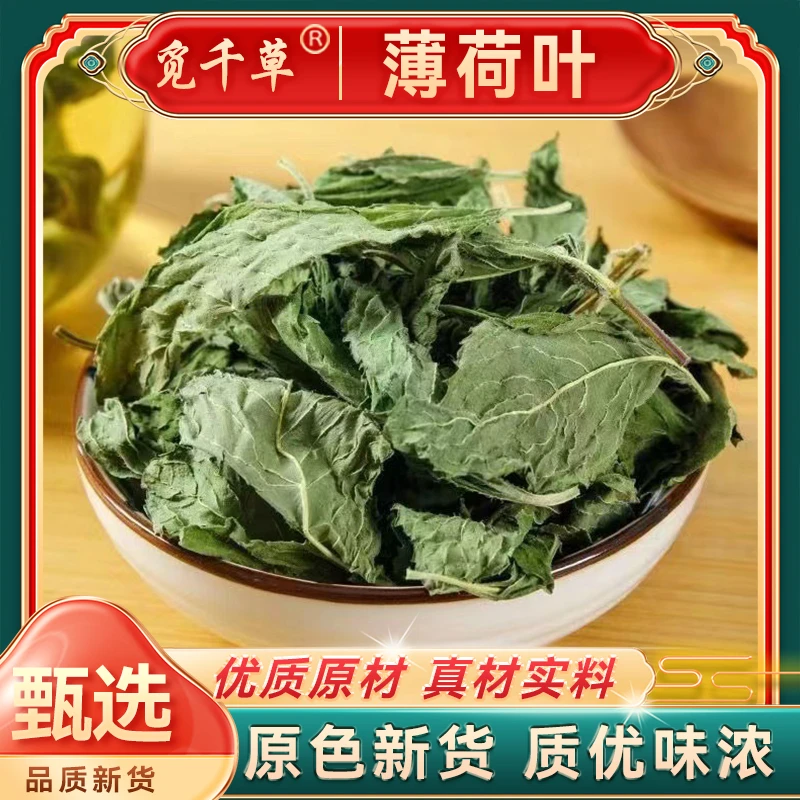 精选薄荷叶薄荷叶干薄荷茶新鲜食用薄荷叶泡水调酒另有枸杞