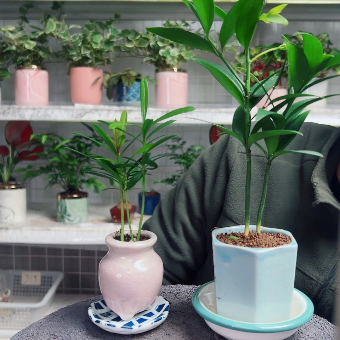 太***亮无花朵14