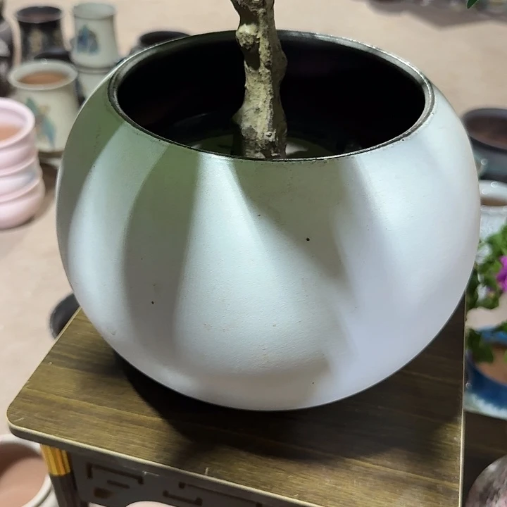 白色球球花盆口径18高度22