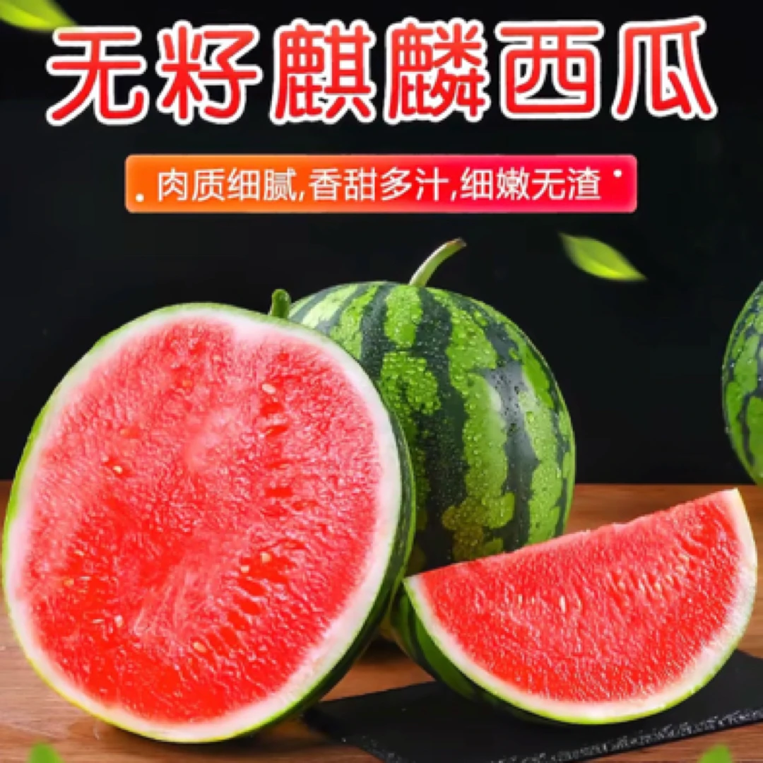 夏乐麒麟西瓜 自然熟 甜 无籽多汁 皮薄可手扒新鲜采摘  产地直发