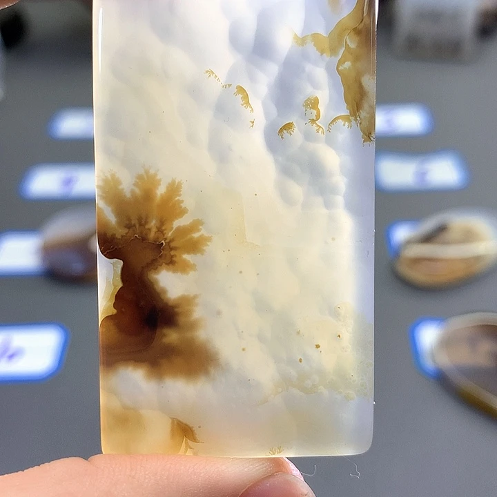 未镶嵌颈饰玛瑙/玉髓