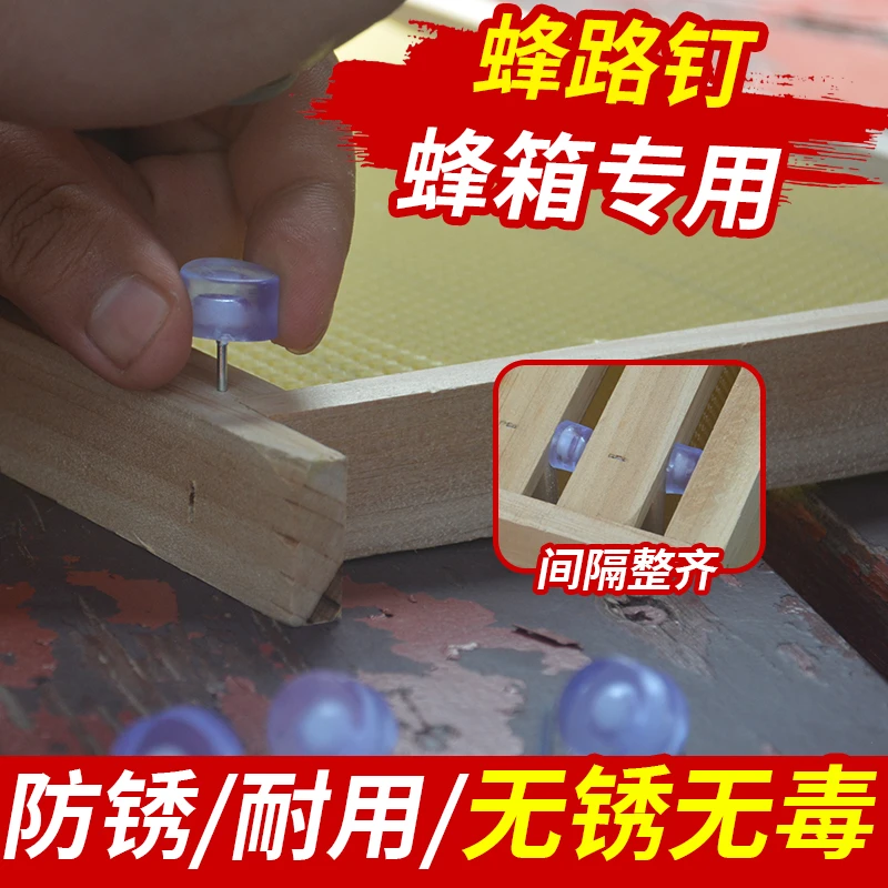 隔板钉留蜂路专用神器中蜂养殖畜牧养蜂工具