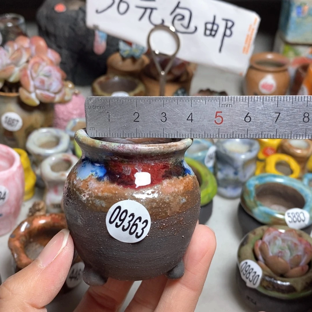 拍5送一个小礼物