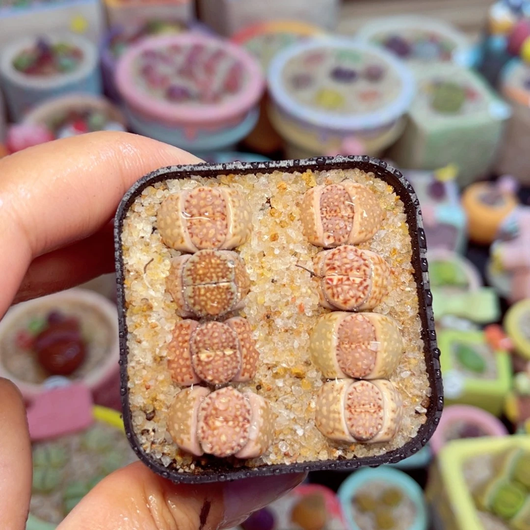 174。57957968777566777