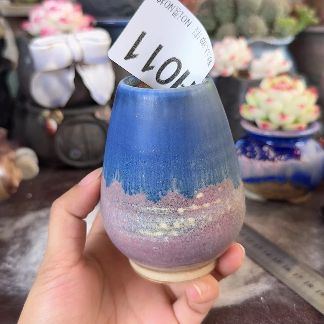 重庆小燕子欢迎大家011