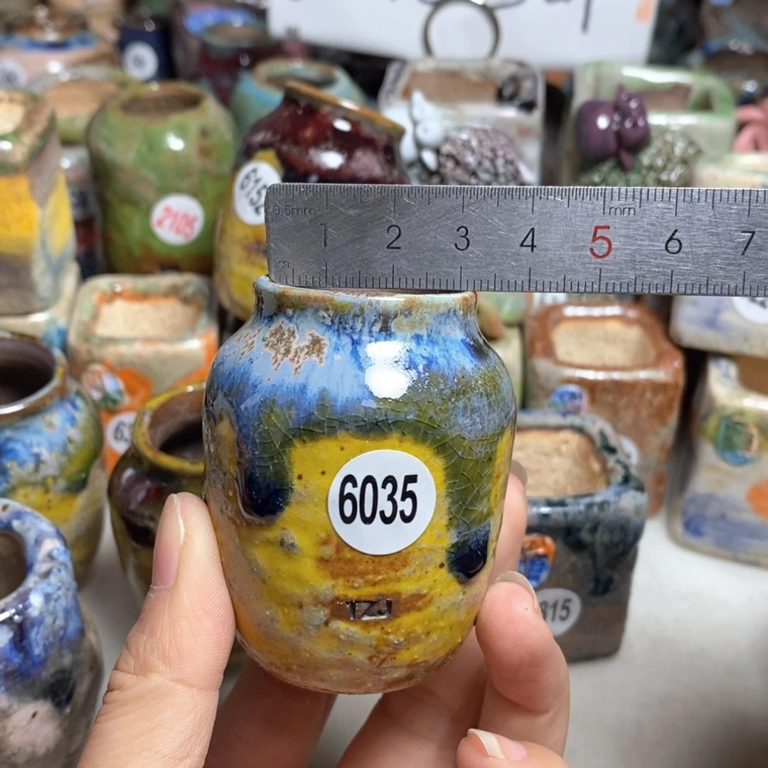 拍5送一个小礼物