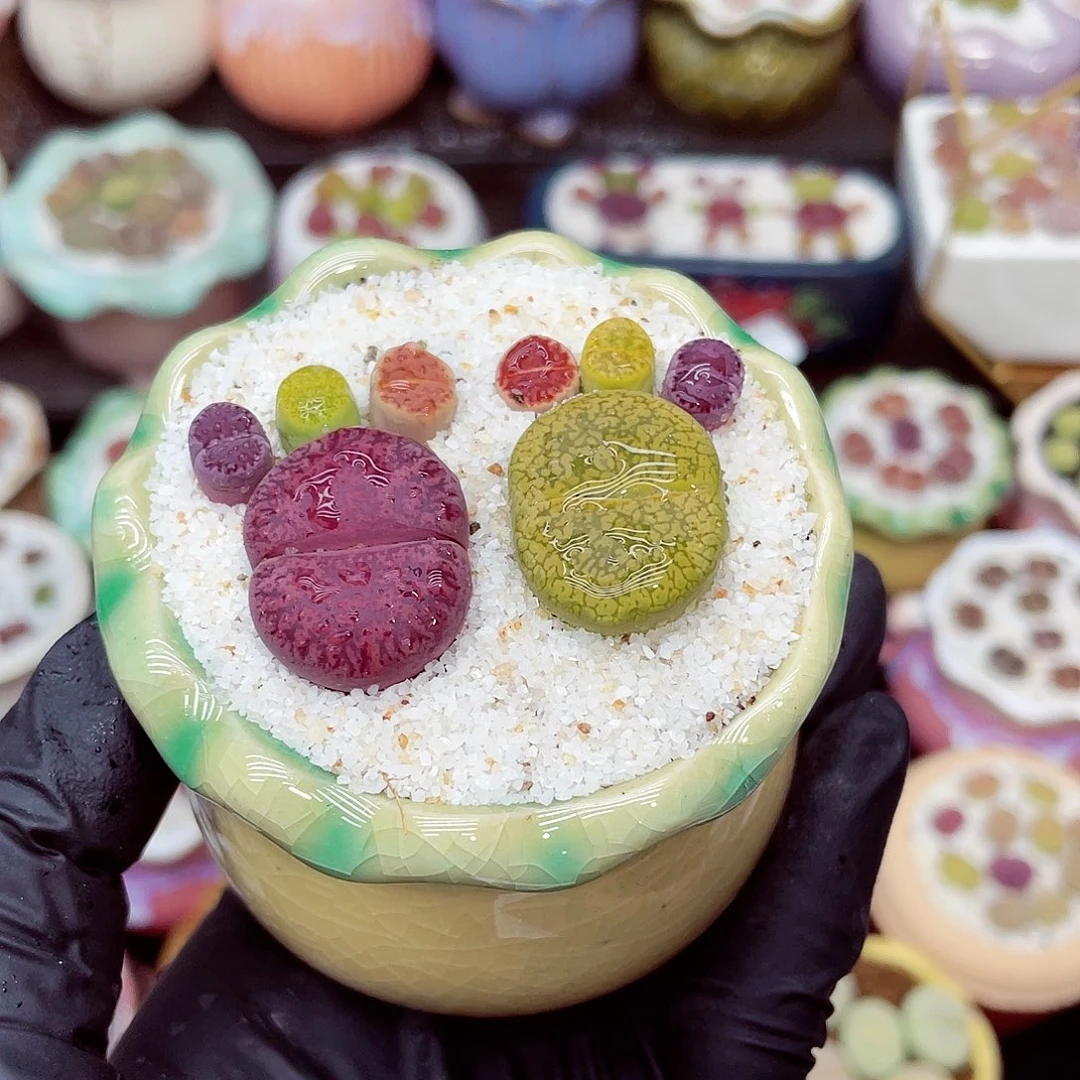 郎哥18包邮0606-66