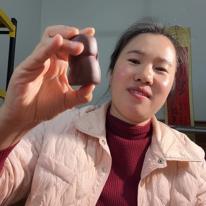 杨***皮茶壶紫砂紫泥盖置