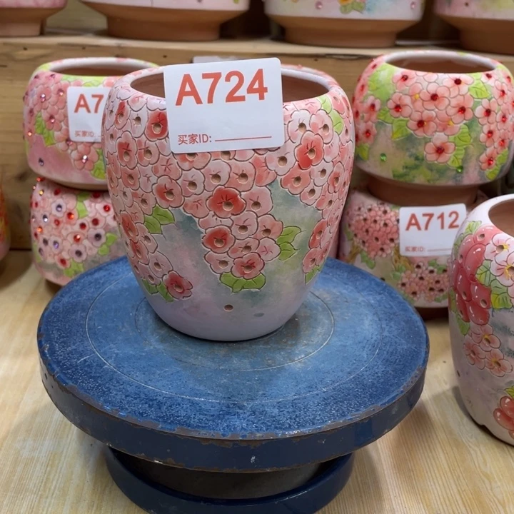 多肉花盆满花系列