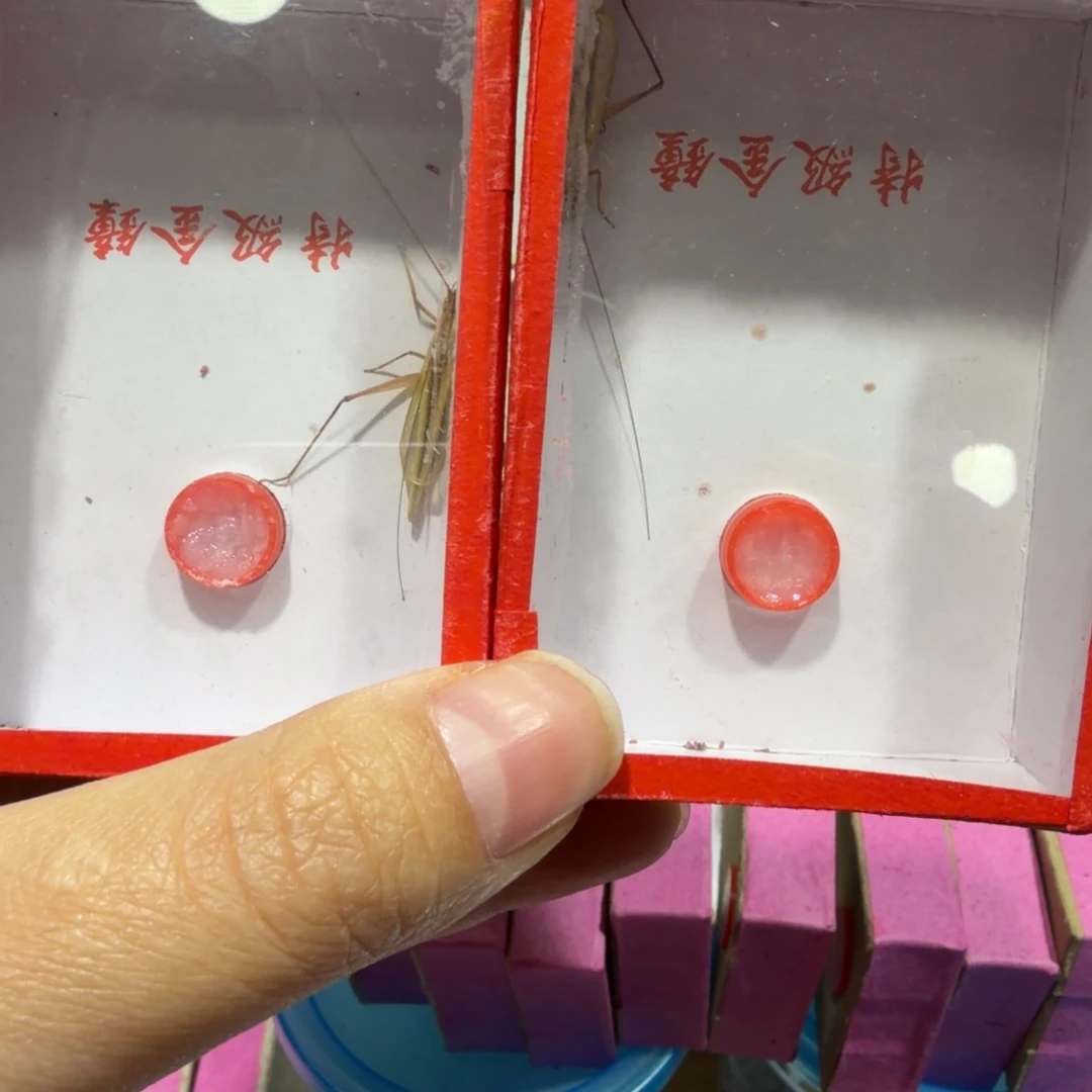 鸣虫用具一盒包邮