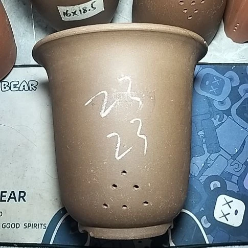 特大金钟一个花盆