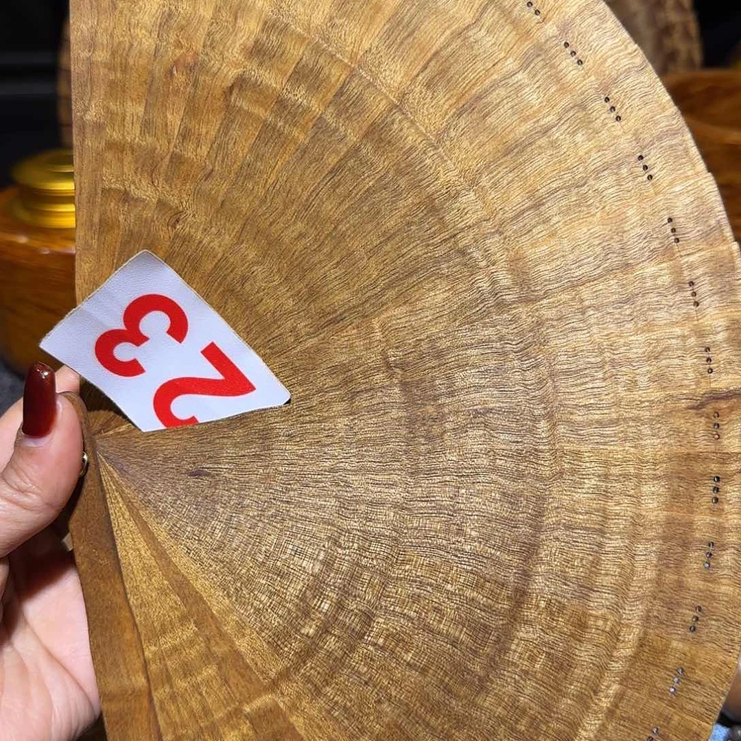 金丝楠张**人小叶桢楠苏扇