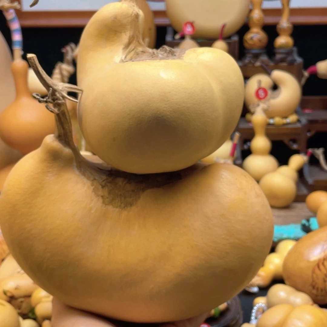 鑫***钢大自然的秘密第十一章第一