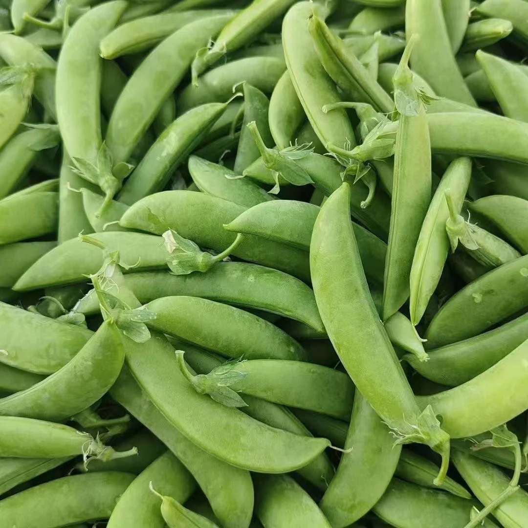 【现摘现发】云南甜豆新鲜带壳甜嫩碗豆甜脆豌豆荚蔬菜新鲜一整箱