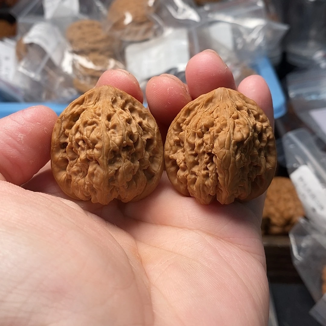 1文玩核桃龟甲蟾王35-230