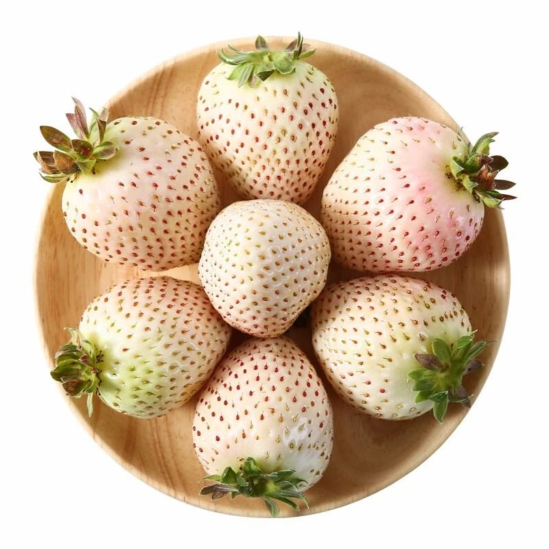 淡雪草莓约500g/份