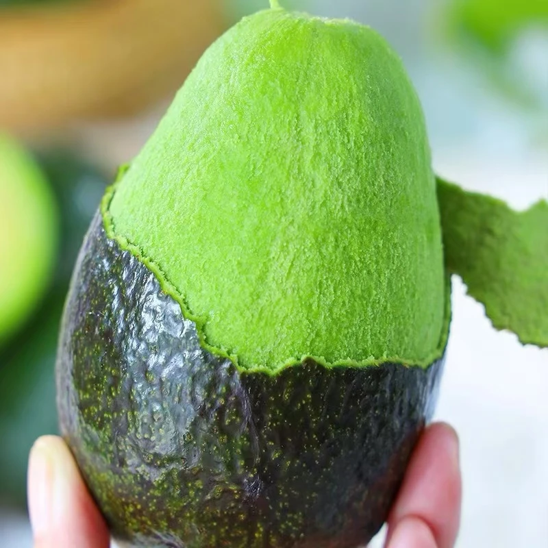 【坏果包赔】秘鲁哈斯牛油果宝宝辅食新鲜水果健身100-200g/10颗装