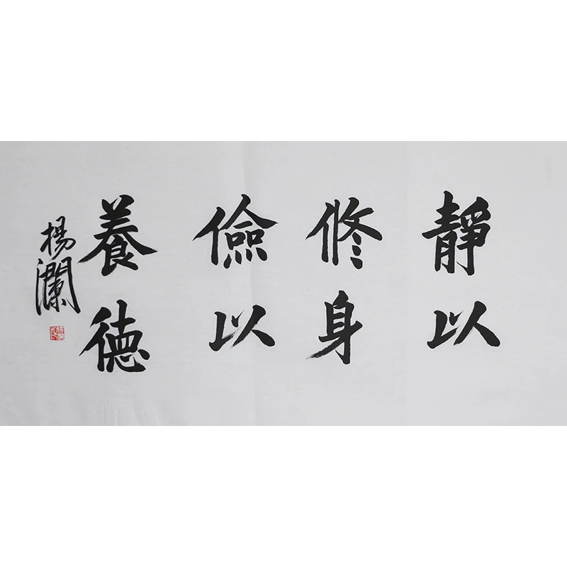  C496 杨澜书法软片 100cm×49cm