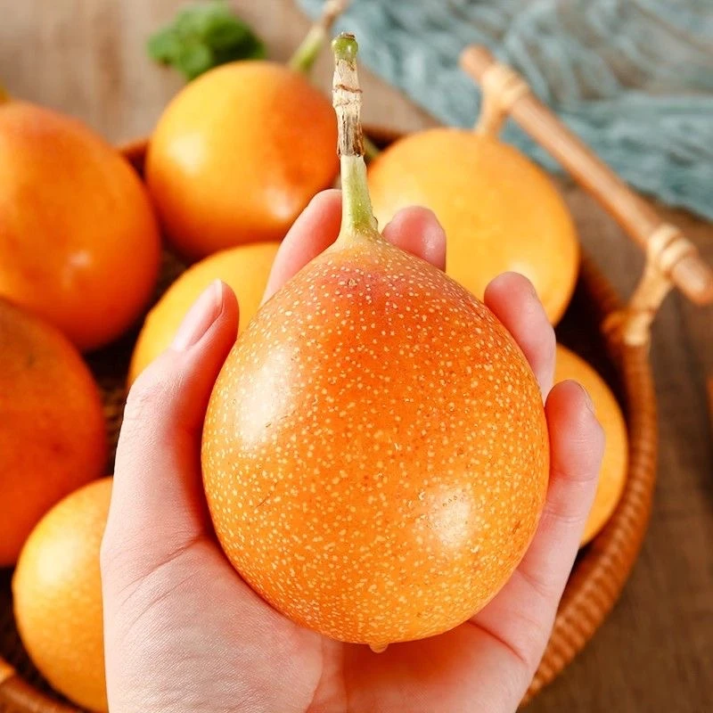 【明天到】哥伦比亚热情果西双版纳产地纯甜无酸百香果今天拍明天到0.5-3斤