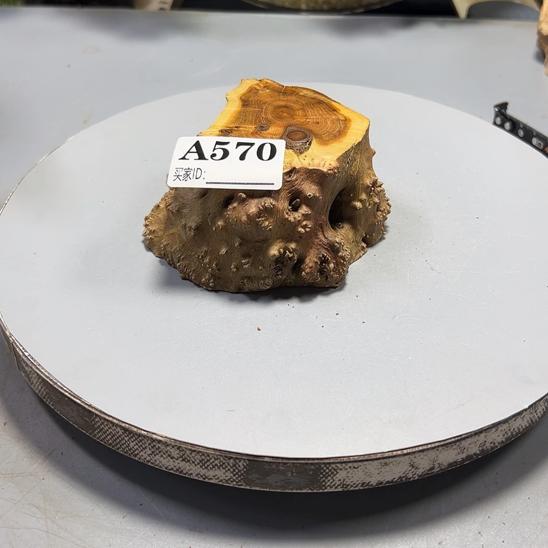 秋***风大果紫檀（缅甸花梨）