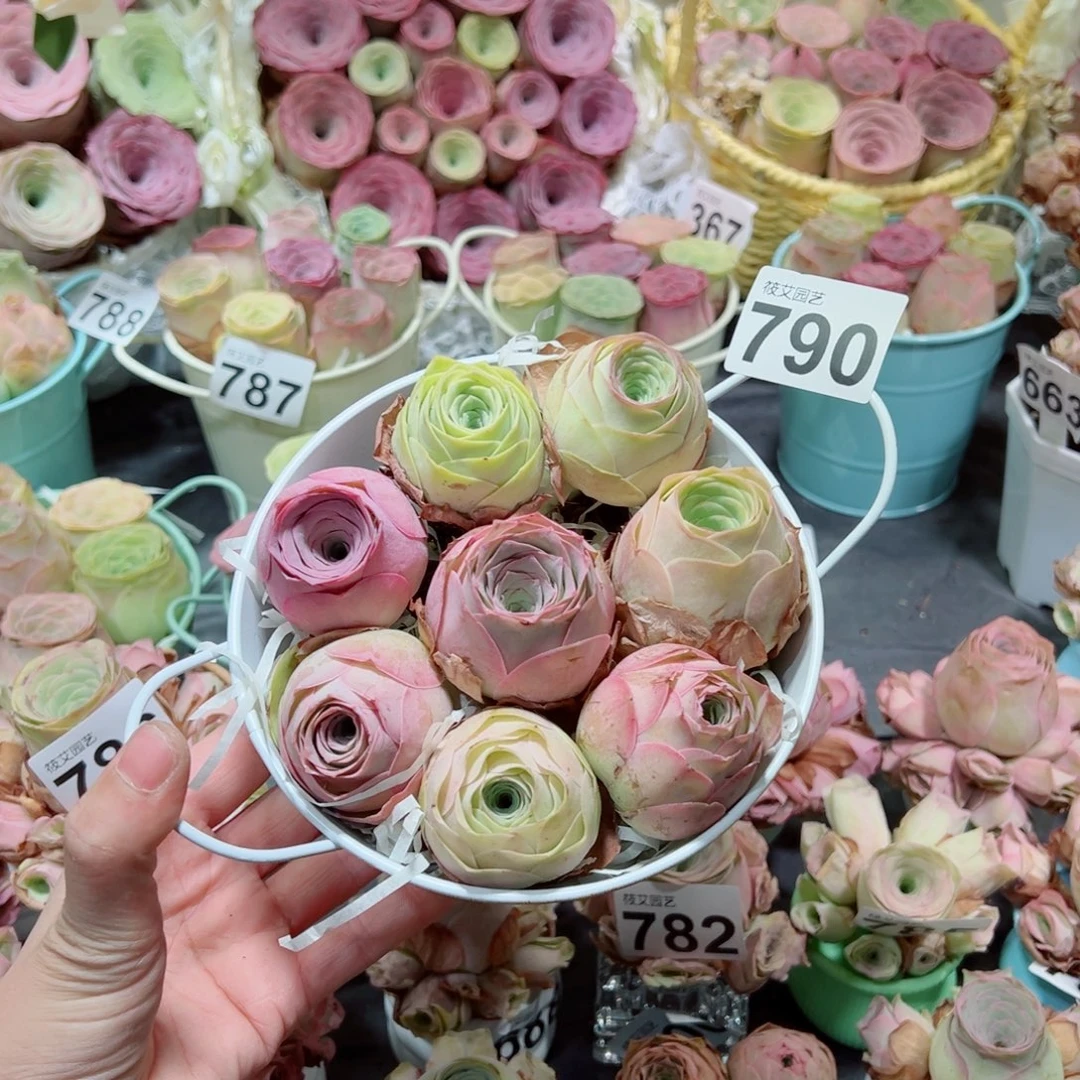790混合精品老桩双耳花桶组合。  一物一拍