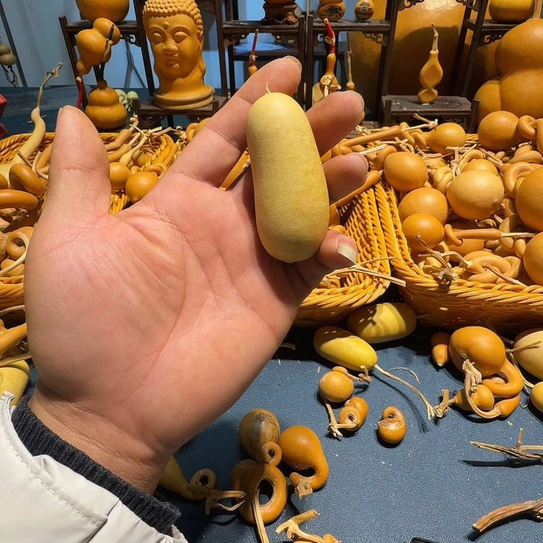 ****丽葫芦的造型非常可爱啊我