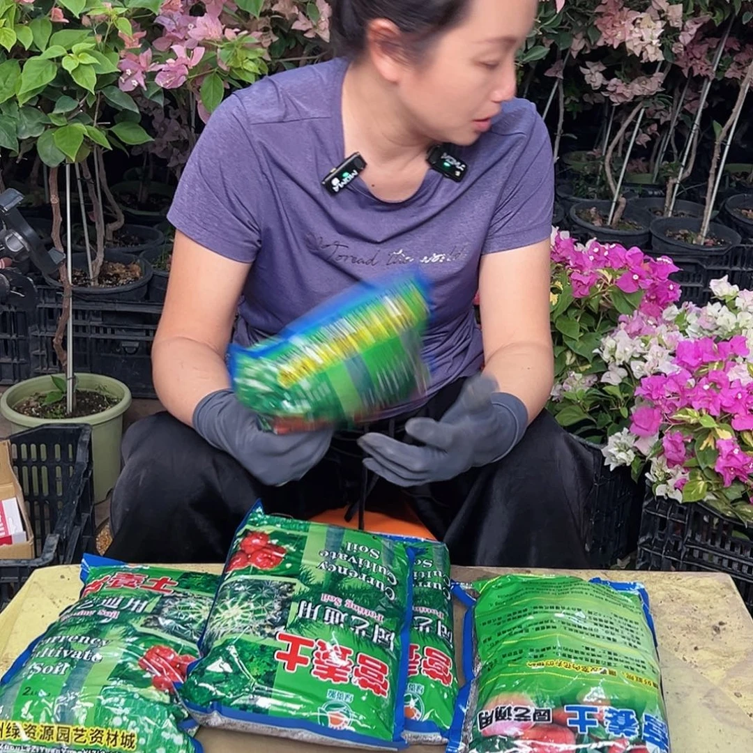 当前无花栽培后可以开花土5包