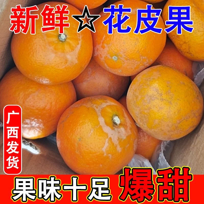 【马姐专属】广西正宗花皮沃柑薄皮橘子老树花皮沃柑当季新鲜桔子