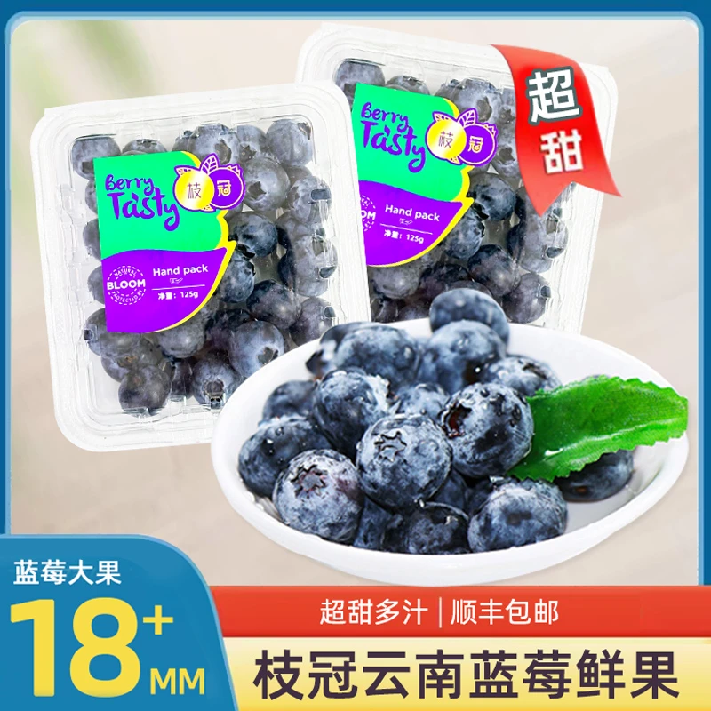 云南枝冠蓝莓鲜果大果新鲜孕妇水果辅食蓝莓水果顺丰包邮