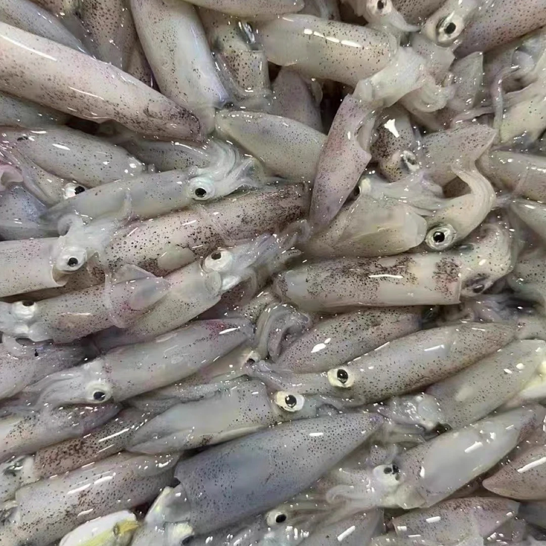 闽南特产船冻灯光一口管灯光鱿鱼