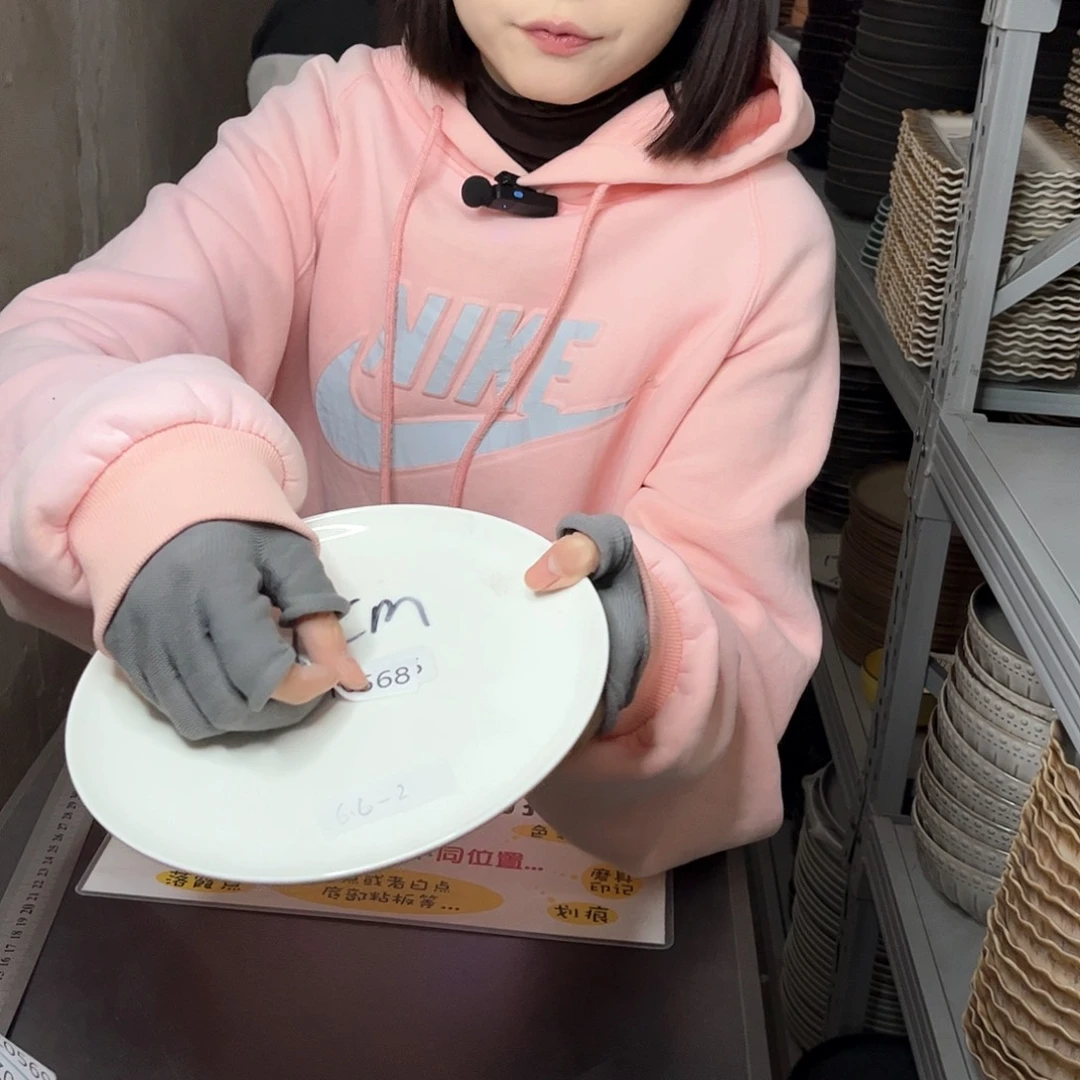 瓷片0568。             2个
