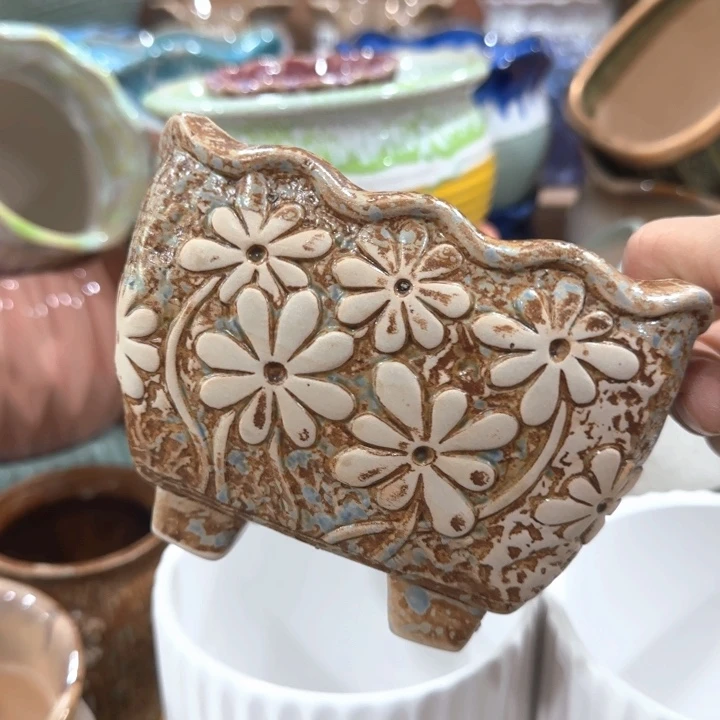 不清楚问客服，有孔