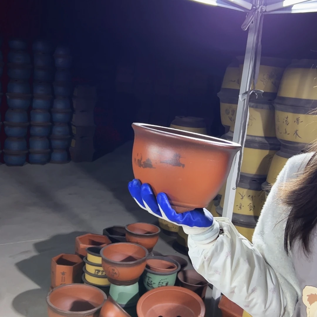 16紫气东来花盆花盆花盆