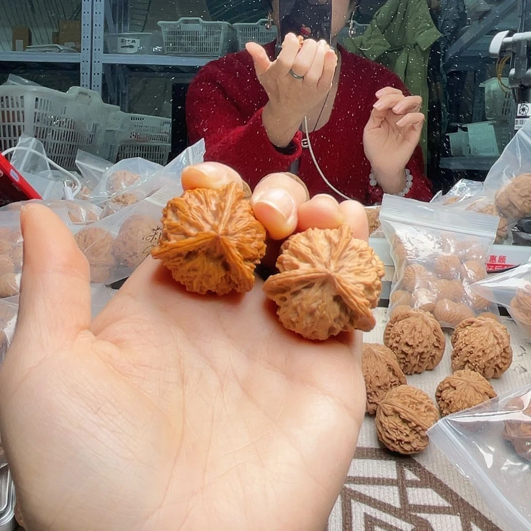 稀*烂三棱或二瓣组成或