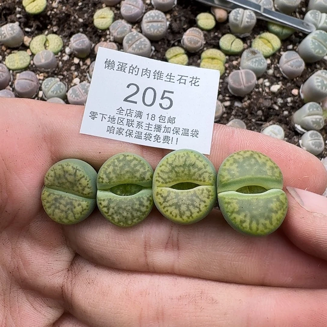 205满18包邮保温袋联系客服