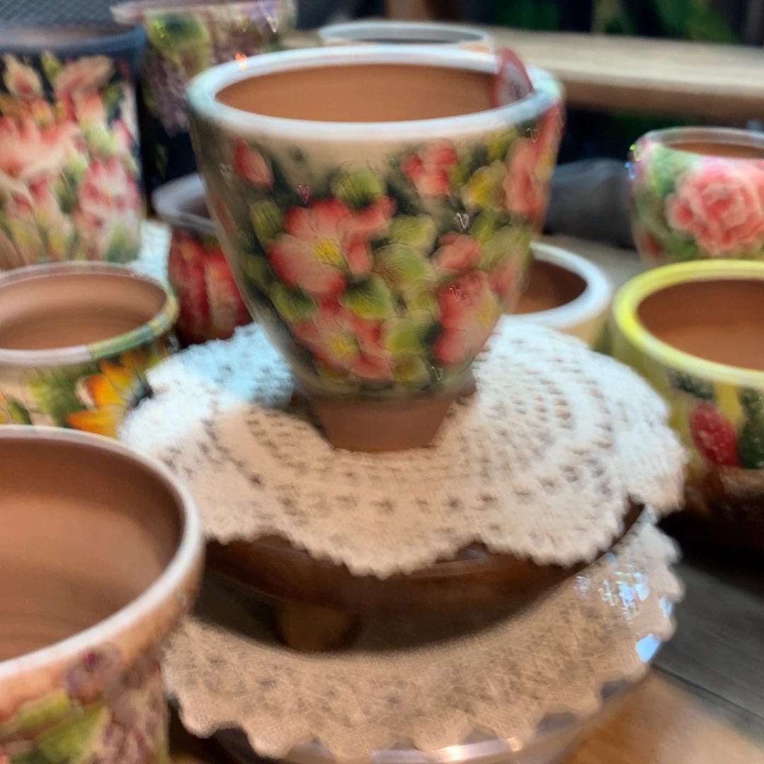 春****?春暖花开达翁多肉花盆