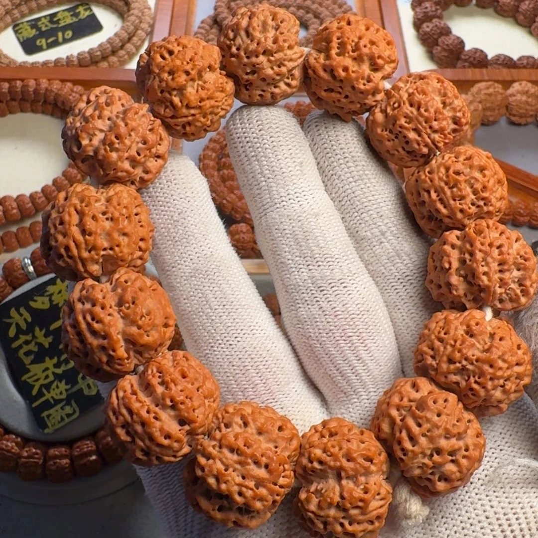 吊坠金刚菩提23.5五星双龙纹