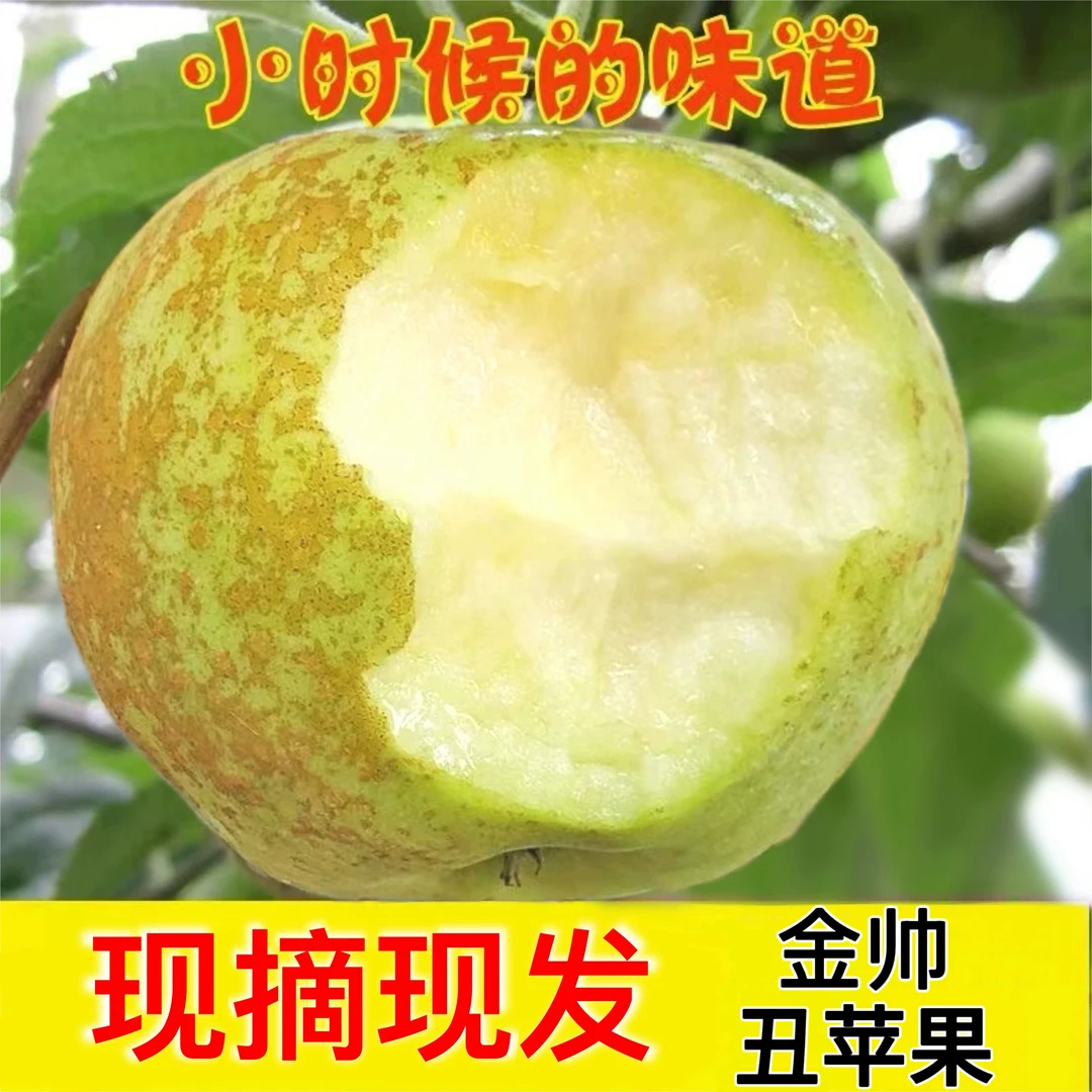 丰县大沙河老味 金帅 黄香蕉 青苹果酸甜孕妇斑点锈新鲜水果