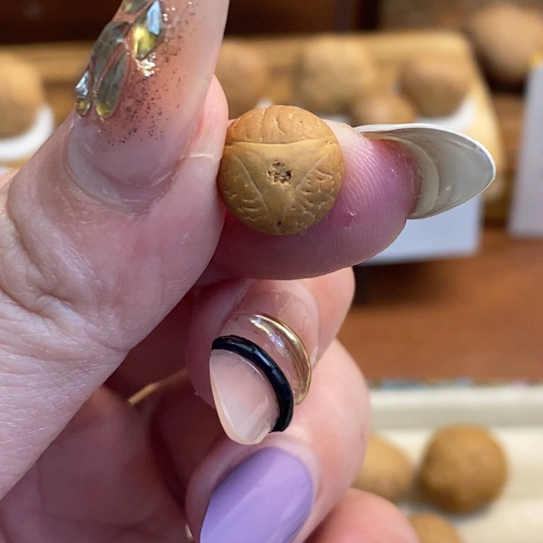 吊坠凤眼菩提10.8龙眼单仓单颗