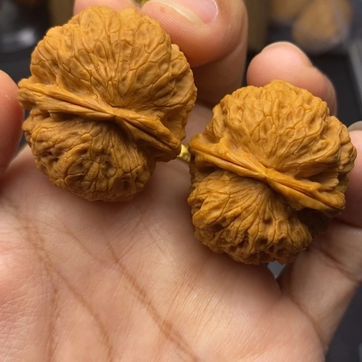 文玩核桃把件37尺铁狮子
