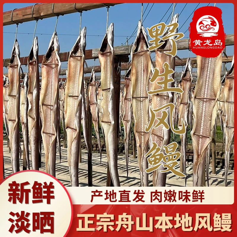 4斤大个头舟山特产风鳗筒新鲜风鳗鱼鲞去肚自然风干海鲜