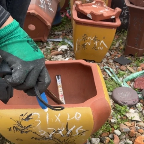 紫砂花盆紫砂花盆盆景盆栽