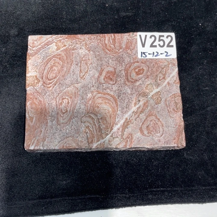 用***7玉化壶承壶承壶承