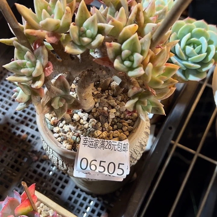 幸运的是我还没遇到过